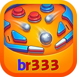 br333